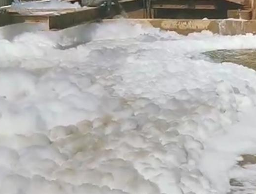 (圖:動(dòng)物屠宰廢水起泡原因)