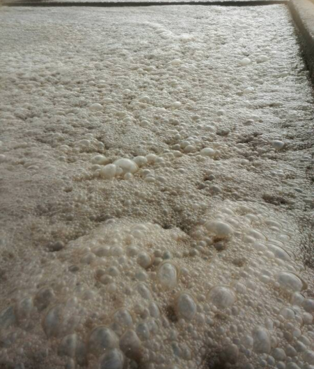 (圖:污水池泡沫)