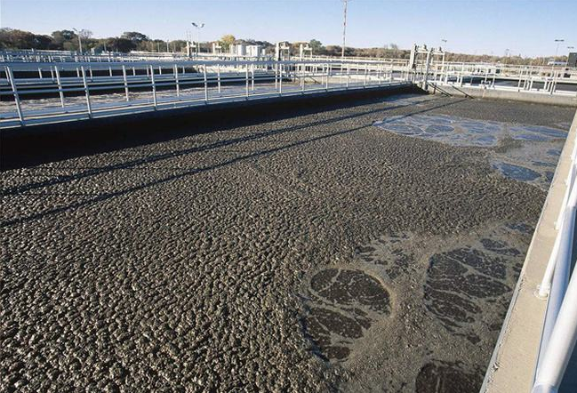 （圖：生化水處理泡沫場(chǎng)景）