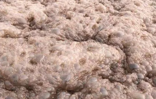 (圖:垃圾填埋場(chǎng)污水泡沫)