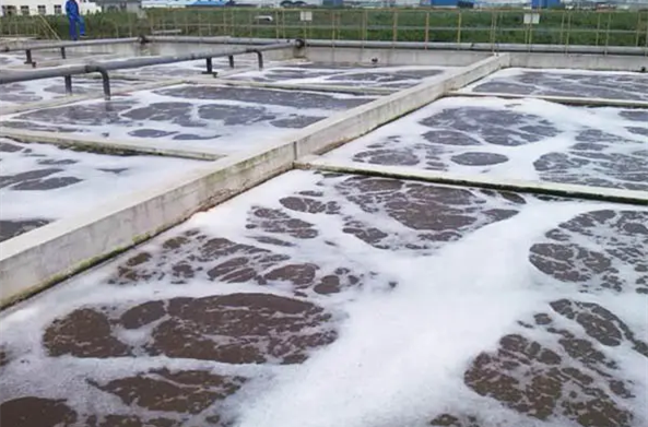 (圖:生活污水泡沫處理廠)