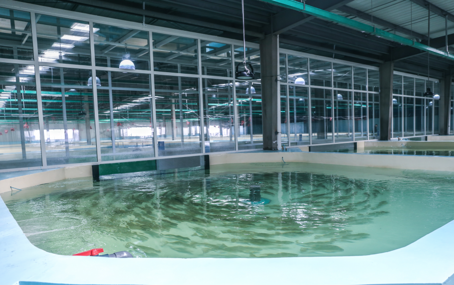 噴涂水處理用消泡劑