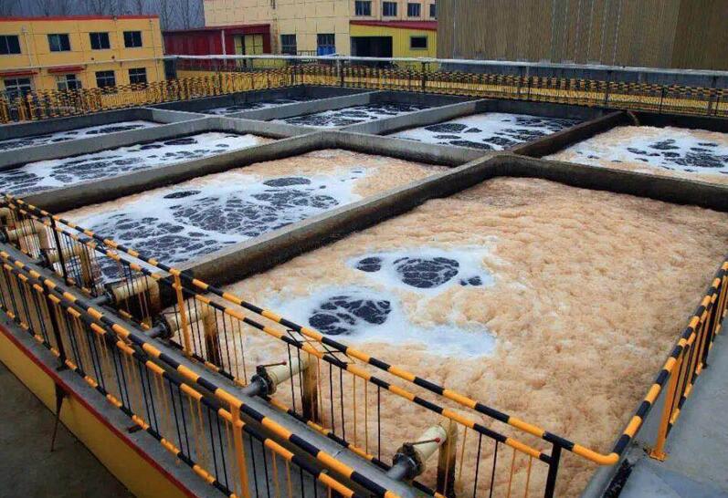 (圖:食品加工廠廢水處理泡沫池)